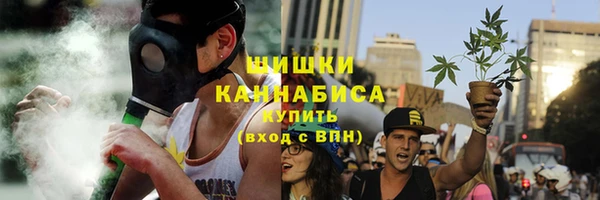 амф Бородино