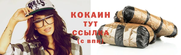 амф Бородино