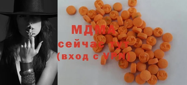 амф Бородино