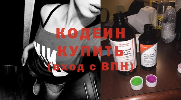 амф Бородино