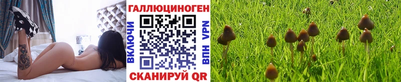 Галлюциногенные грибы Psilocybe  закладки  ОМГ ОМГ как войти  Кировск 